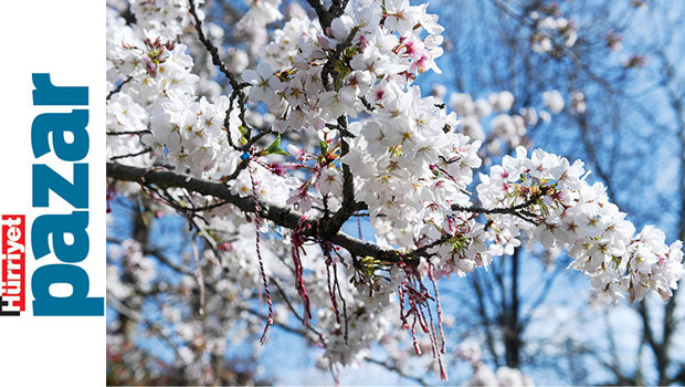 İstanbul’un en cıvıl cıvıl, en renkli günleri başladı