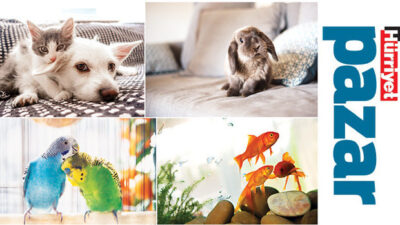 ‘İnternette çok bilgi var ama bir kısmı eksik ya da yanlış’