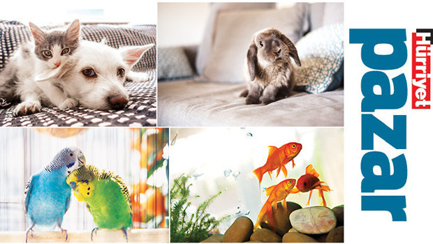 ‘İnternette çok bilgi var ama bir kısmı eksik ya da yanlış’