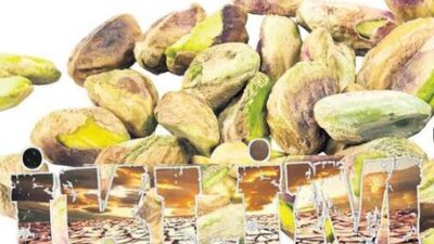 Savaş var ama asıl sorun iklim